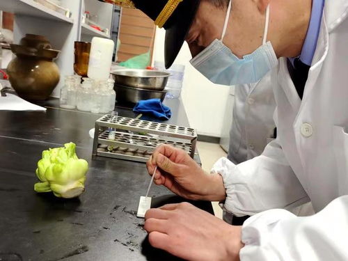 浙江余姚 筑牢榨菜加工安全防線，守護(hù)源頭生產(chǎn)第一關(guān)